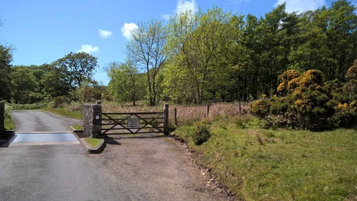 A sunny road splits in two, one with a metal cattle grid and the other with a wooden gate, surrounded by green trees and gorse, in Nether Wasdale, Lake District